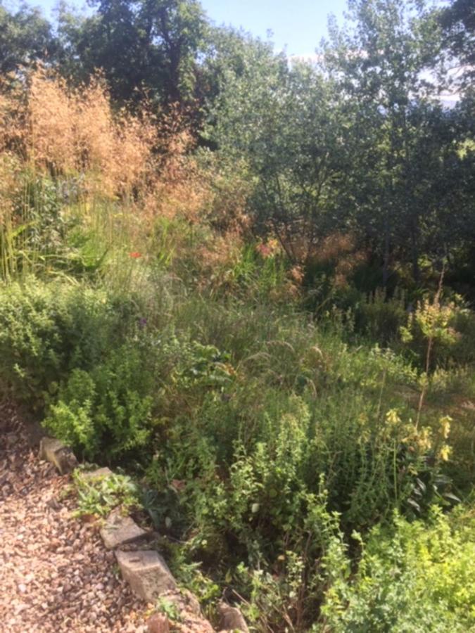 Chirbury Bank Farm House מראה חיצוני תמונה